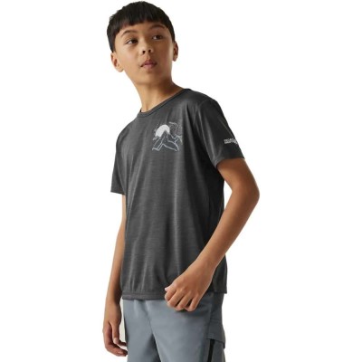 тениска,детски,тениски,regatta,alvarado,ix,short,sleeve,t,shirt,sealgreymarl,(grey)