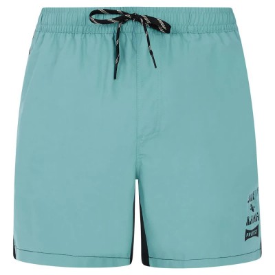 бански,гащета,мъжки,бански,костюми,protest,ben,swimming,shorts,arctic,green,(green)