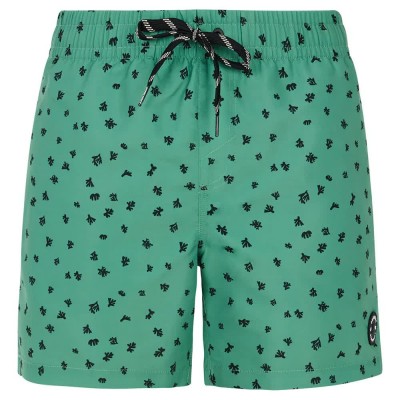 бански,гащета,мъжки,бански,костюми,protest,juan,swimming,shorts,green