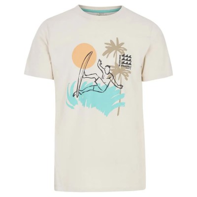 тениска,мъжки,тениски,protest,rodas,short,sleeve,t,shirt,kit,off,white,(beige)