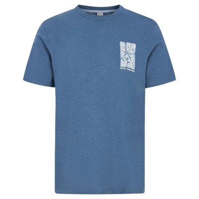 тениска,мъжки,тениски,protest,victor,short,sleeve,t,shirt,raku,blue