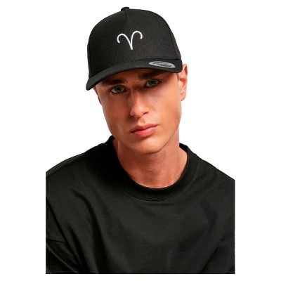 тениска,всички,шапки,mister,tee,zodiac,yp,classics,5,panel,premium,curved,visor,cap,snapback,cap,aries,(black)