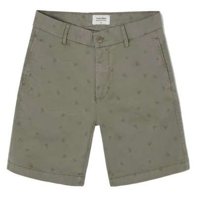 къси,панталони,мъжки,панталони,silbon,fantasia,shorts,green