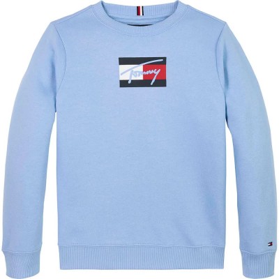 блуза,детски,блузи,tommy,hilfiger,script,flag,sweatshirt,cloudy,blue,(blue)