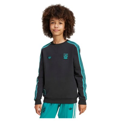 блуза,детски,блузи,adidas,liverpool,fc,terrace,icons,sweatshirt,black