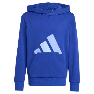 суичър,детски,блузи,adidas,essentials,hoodie,blue,(team,royal,blue,blue,fusion,glow,blue)