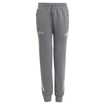 панталони,детски,панталони,adidas,mercedes,amg,petronas,formula,one,team,silver,arrows,pants,grey,five,(grey)