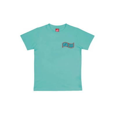 тениска,мъжки,тениски,дамски,тениски,santa,cruz,roskopp,voodoo,room,short,sleeve,t,shirt,blue,(pool,blue)