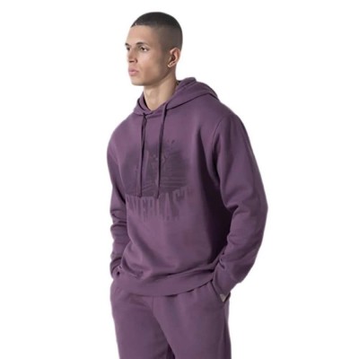 суичър,мъжки,пуловери,everlast,fading,graphic,hoodie,purple,(burgundy)
