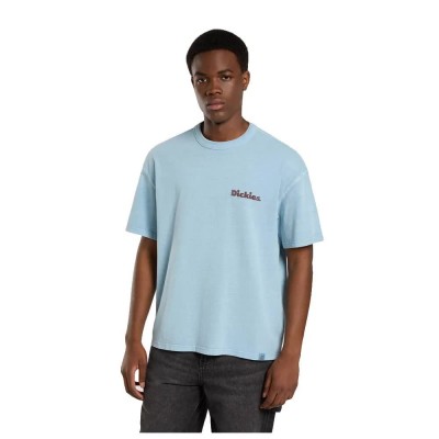 тениска,мъжки,тениски,дамски,тениски,dickies,slayden,gd,short,sleeve,t,shirt,blue,(glacier,lake)