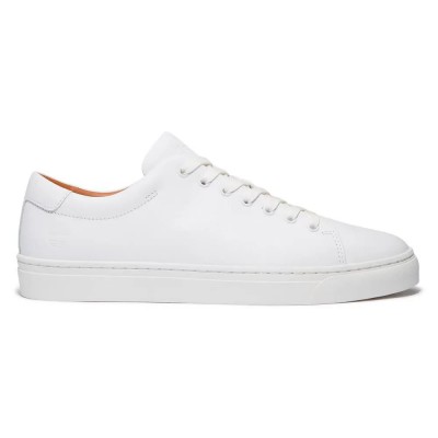 маратонки,мъжки,маратонки,дамски,маратонки,timberland,dover,park,low,trainers,white,(white,full,grain)