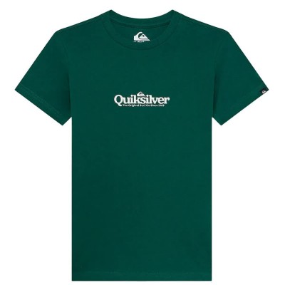 тениска,мъжки,тениски,quiksilver,fineline,short,sleeve,t,shirt,green,(trekking,green)