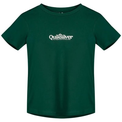 тениска,мъжки,тениски,дамски,тениски,quiksilver,ev,fineline,short,sleeve,t,shirt,green,(trekking,green)