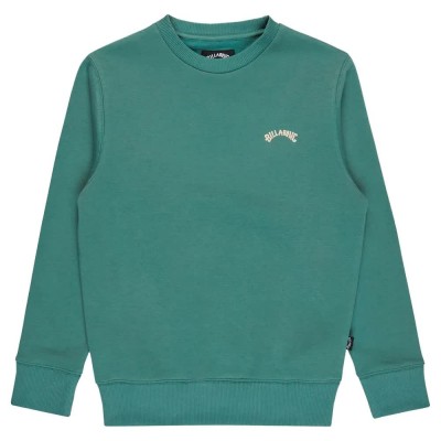 блуза,детски,блузи,billabong,arch,cr,sweatshirt,green,(sagebrush)