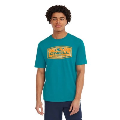 тениска,мъжки,тениски,o´neill,graphic,short,sleeve,t,shirt,blue,(island,breeze)