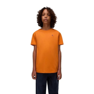 тениска,детски,тениски,napapijri,salis,2,short,sleeve,t,shirt,orange,(orange,pumpkin)