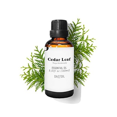 хигиена,тяло,daffoil,cedar,leaf,100ml,essencial,oil,clear