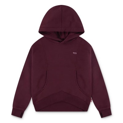 суичър,детски,блузи,levi´s,®,batwing,patch,hoodie,chocolate,truffle,(purple)