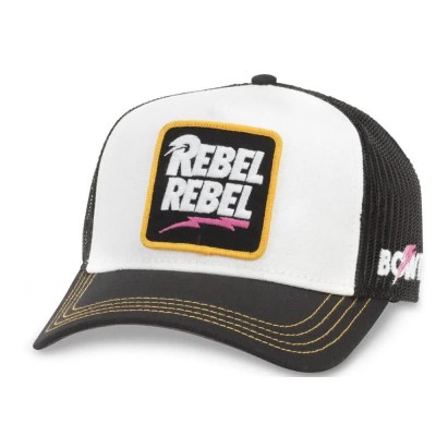 шапка,всички,шапки,american,needle,smu679a,cap,david,bowie,(white)
