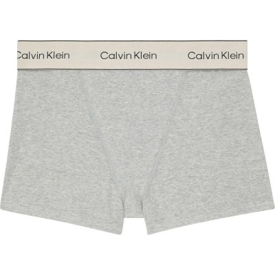 слипове,дамско,бельо,дамски,бикини,и,танкини,calvin,klein,lv00qf8371,brief,panties,heather,grey,(grey)