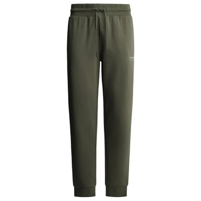 анцуг,мъжки,панталони,red,bull,racing,essential,joggers,green,(regent,green)