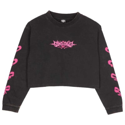 тениска,мъжки,тениски,дамски,тениски,santa,cruz,evolve,strip,long,sleeve,t,shirt,black,(black,wash)