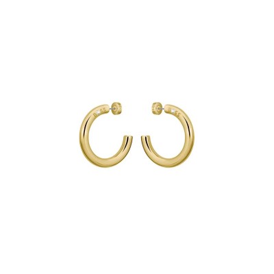 бижутерия,boss,1580738,earrings,gold