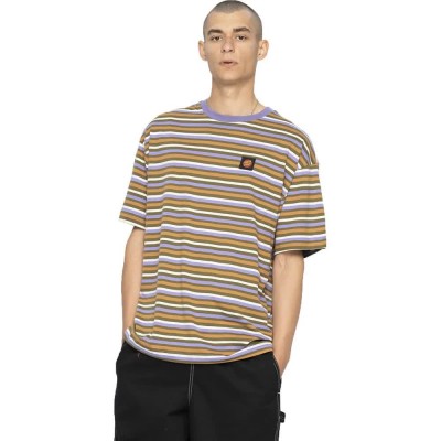 тениска,мъжки,тениски,дамски,тениски,santa,cruz,classic,label,short,sleeve,t,shirt,multicolor,(moss,stripe)