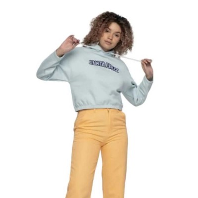 бебешки,суичър,дамски,блузи,santa,cruz,gingham,arch,strip,hoodie,blue,(baby,blue)