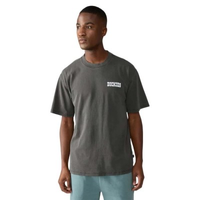 тениска,мъжки,тениски,дамски,тениски,dickies,buchtell,short,sleeve,t,shirt,grey,(black)