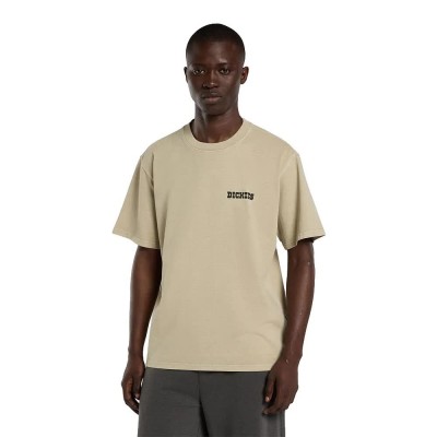 тениска,мъжки,тениски,дамски,тениски,dickies,darrtown,short,sleeve,t,shirt,beige,(eucalyptus)