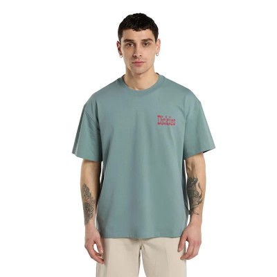 тениска,мъжки,тениски,дамски,тениски,dickies,polk,short,sleeve,t,shirt,green,(stormy,sea)
