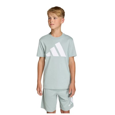 тениска,мъжки,тениски,дамски,тениски,adidas,essentials,graphic,short,sleeve,t,shirt,grey,(wonder,sage,white)