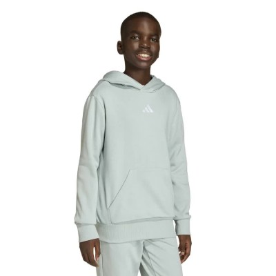 суичър,детски,блузи,adidas,essentials,hoodie,green,(wonder,sage,white)
