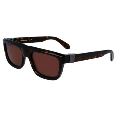 слънчеви,очила,слънчеви,очила,ferragamo,sf2009s,242,56,21,145,sunglasses,brown,(brown,brown)