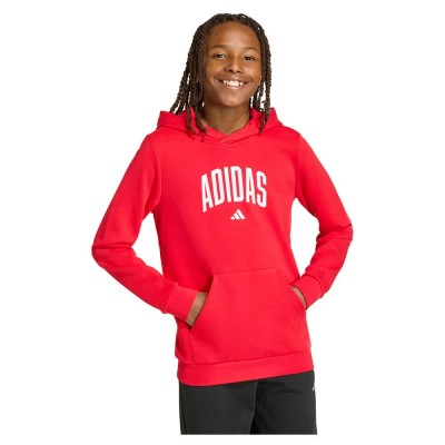 суичър,детски,блузи,adidas,codes,collegiate,graphic,hoodie,red,(pure,ruby)