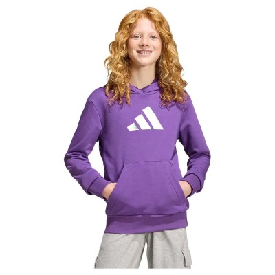 суичър,детски,блузи,adidas,glam,graphic,hoodie,purple,(active,purple,ice,gold,met)