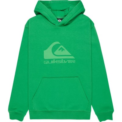 суичър,детски,блузи,quiksilver,comp,logo,hoodie,green,(leprechaun)