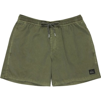 бански,гащета,мъжки,бански,костюми,quiksilver,everyday,surfwash,volley,15´´,swimming,shorts,green,(grape,leaf)