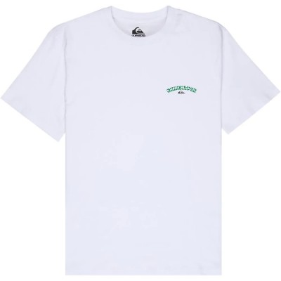 тениска,мъжки,тениски,дамски,тениски,quiksilver,tap,in,short,sleeve,t,shirt,white,(white)