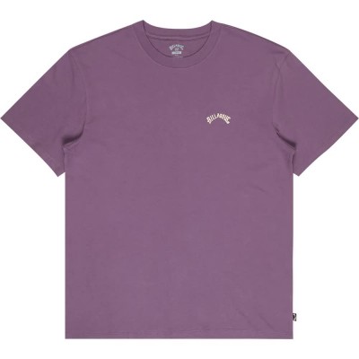 тениска,мъжки,тениски,дамски,тениски,billabong,arch,short,sleeve,t,shirt,purple,(dusty,grape)