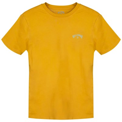 тениска,мъжки,тениски,дамски,тениски,billabong,arch,wave,short,sleeve,t,shirt,yellow,(honey)