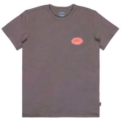 тениска,мъжки,тениски,дамски,тениски,billabong,burn,out,short,sleeve,t,shirt,grey,(pewter)