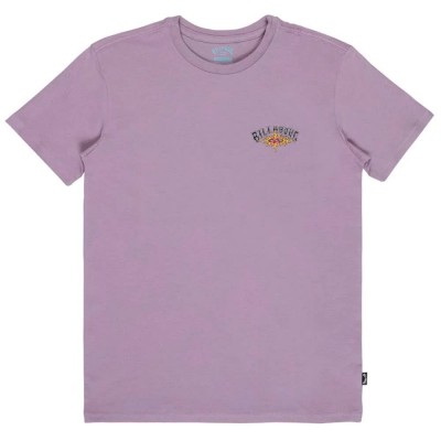 тениска,мъжки,тениски,дамски,тениски,billabong,burn,out,short,sleeve,t,shirt,purple,(purple,ash)