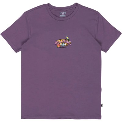 тениска,мъжки,тениски,дамски,тениски,billabong,origins,short,sleeve,t,shirt,purple,(dusty,grape)