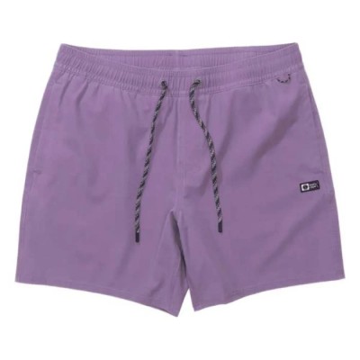 бански,гащета,мъжки,бански,костюми,salty,crew,seadog,volley,swimming,shorts,purple,(grape)