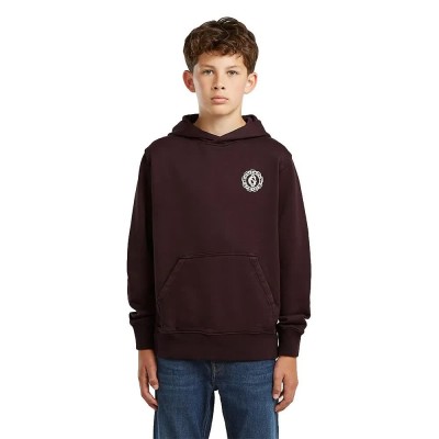 суичър,детски,блузи,g,star,bren,hoodie,brown,(chocolat,plum)