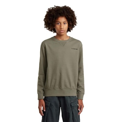 блуза,детски,блузи,g,star,premium,core,d29249,01,sweatshirt,green,(wild,dove)