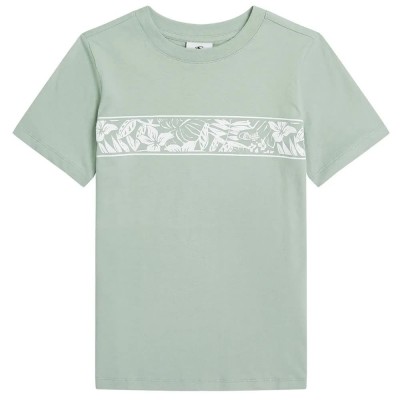 тениска,мъжки,тениски,дамски,тениски,o´neill,graphic,short,sleeve,t,shirt,green,(marble,arch)