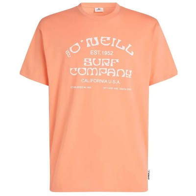 тениска,мъжки,тениски,дамски,тениски,o´neill,muir,short,sleeve,t,shirt,orange,(funky,peach)